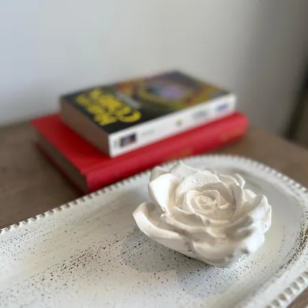 Joanna & Arya Engomi Apts