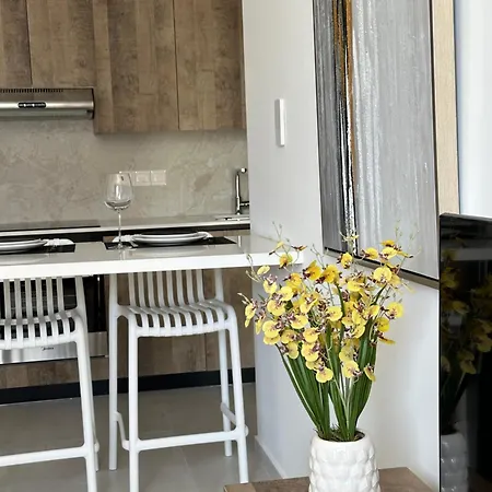 Joanna & Arya Engomi Apts Apartman